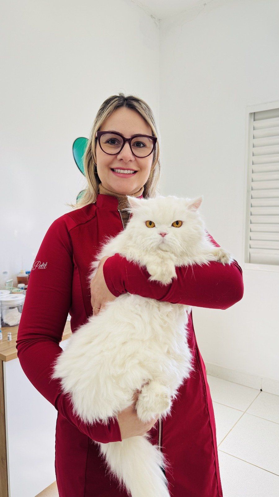 Médica veterinária do Le Petit segurando um gato persa branco no consultório
