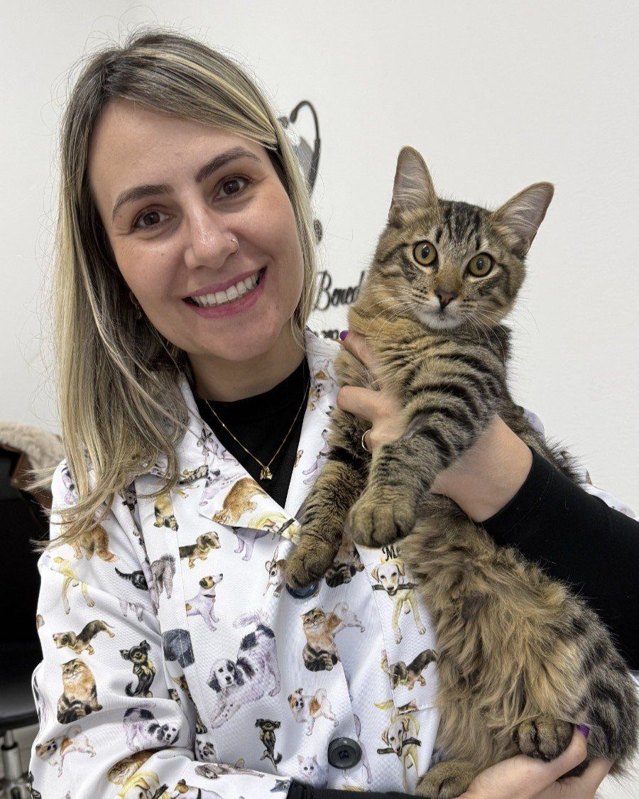 Médica veterinária do Le Petit com um filhote de gato tigrado no colo